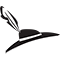 blachenprinz.ch icon