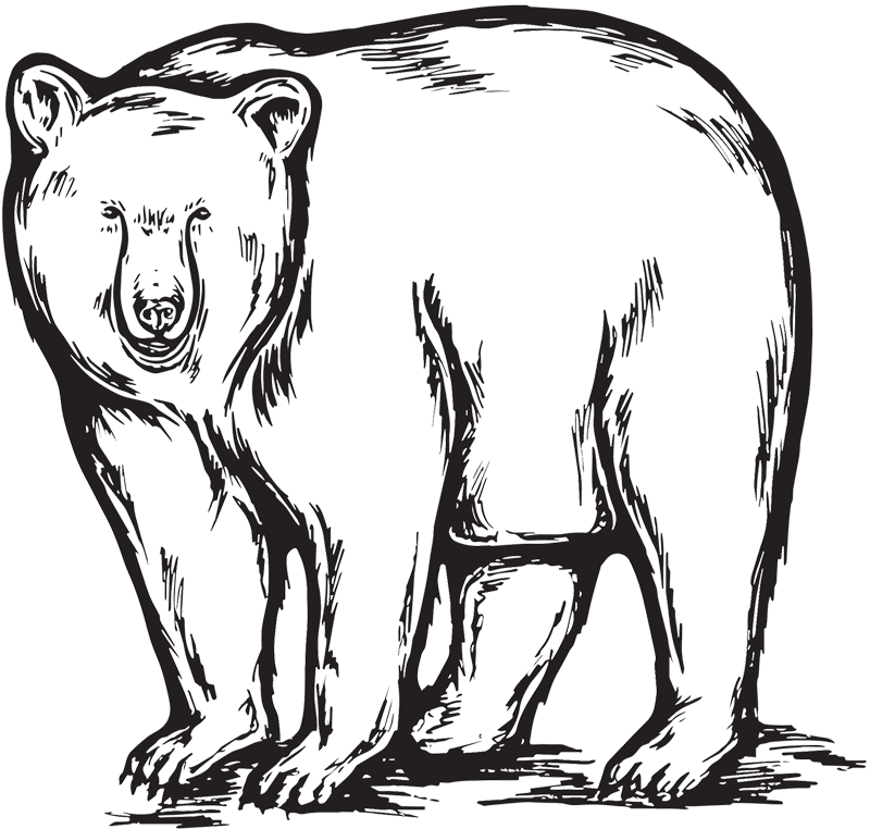 blackbearwhitchurch.co.uk icon
