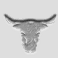 Black Bull logo
