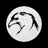 Blackhawk Country Club logo