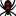 blackwidowpress.com icon
