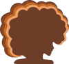 blackwomenphotographers.com icon