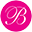 blanqueamiento.uy icon