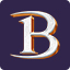 blessunleashed.com icon