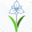 bleuiris.com icon