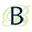 blileys.com icon