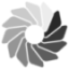 blits.de icon