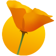 bloesemremedies.com icon