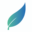 bloom-creation.com icon