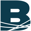 Bloom Spatial logo