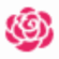 blossomflowerdelivery.com icon