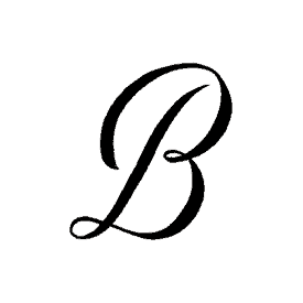 bluchic.com icon