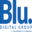 bludigitalgroup.com icon