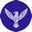 blue-bird.tech icon