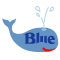 blue-ocean-polska.pl icon