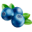 blueberrypatchmotel.com icon
