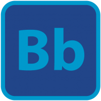 bluebrad.com icon