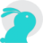 bluebunnyhawaii.com icon