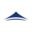 bluecanopymarketing.com icon