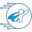 bluecapesecurity.com icon