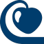 bluecherry.io logo