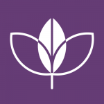 bluefruit.co.uk icon