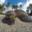 bluehawaiivacation.com icon