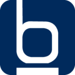 blueinteractiveagency.com icon