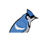 bluejaypms.com logo