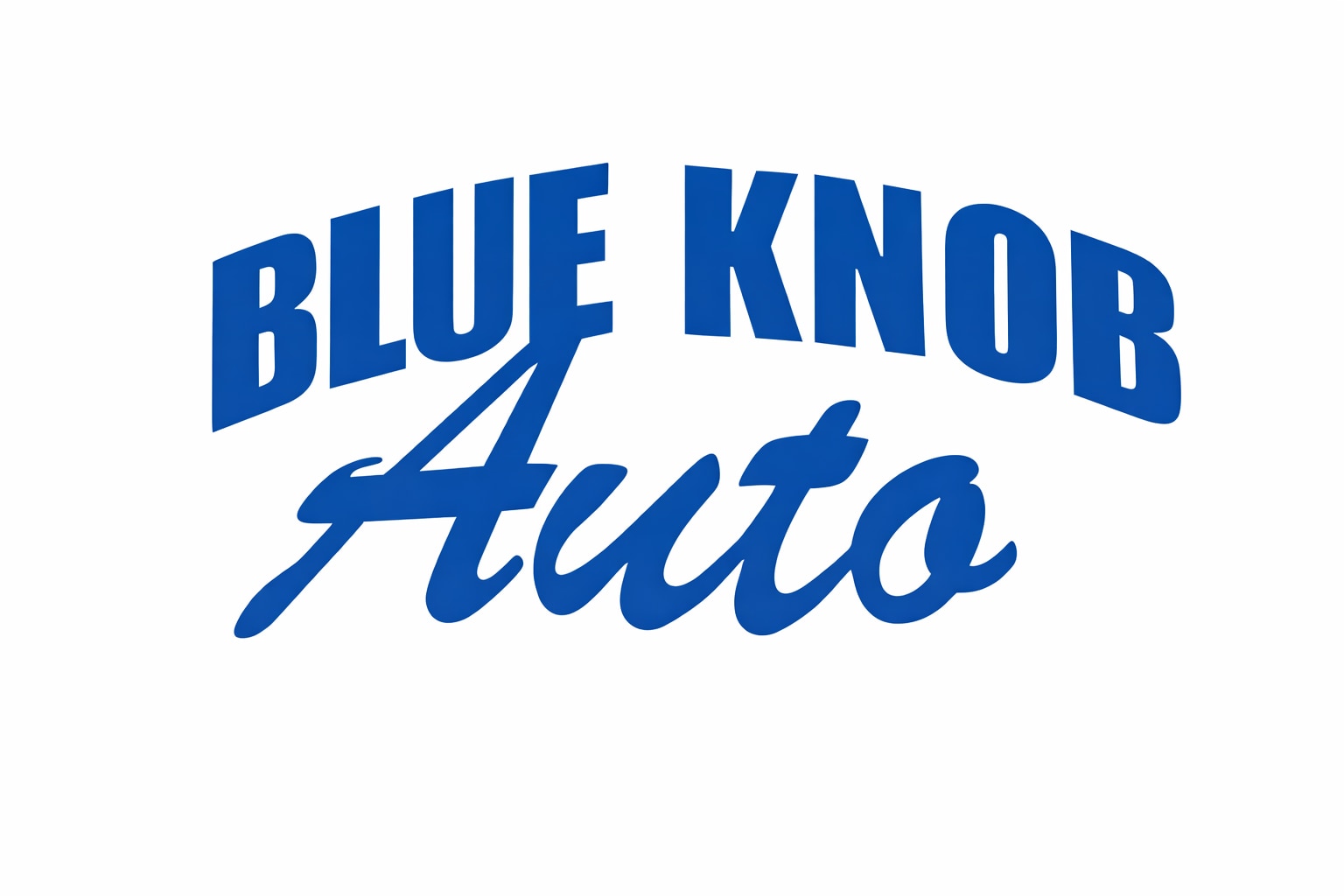 blueknobauto.com icon