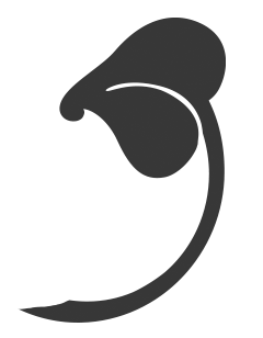 blueleafhouston.com icon