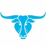 blueoxmusicfestival.com icon