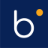bluepalm.group icon