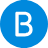 bluepeople-it.nl icon