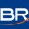 Blue Raven Solutions (Triman Holdings) logo