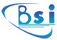 blueskyinfosys.com icon
