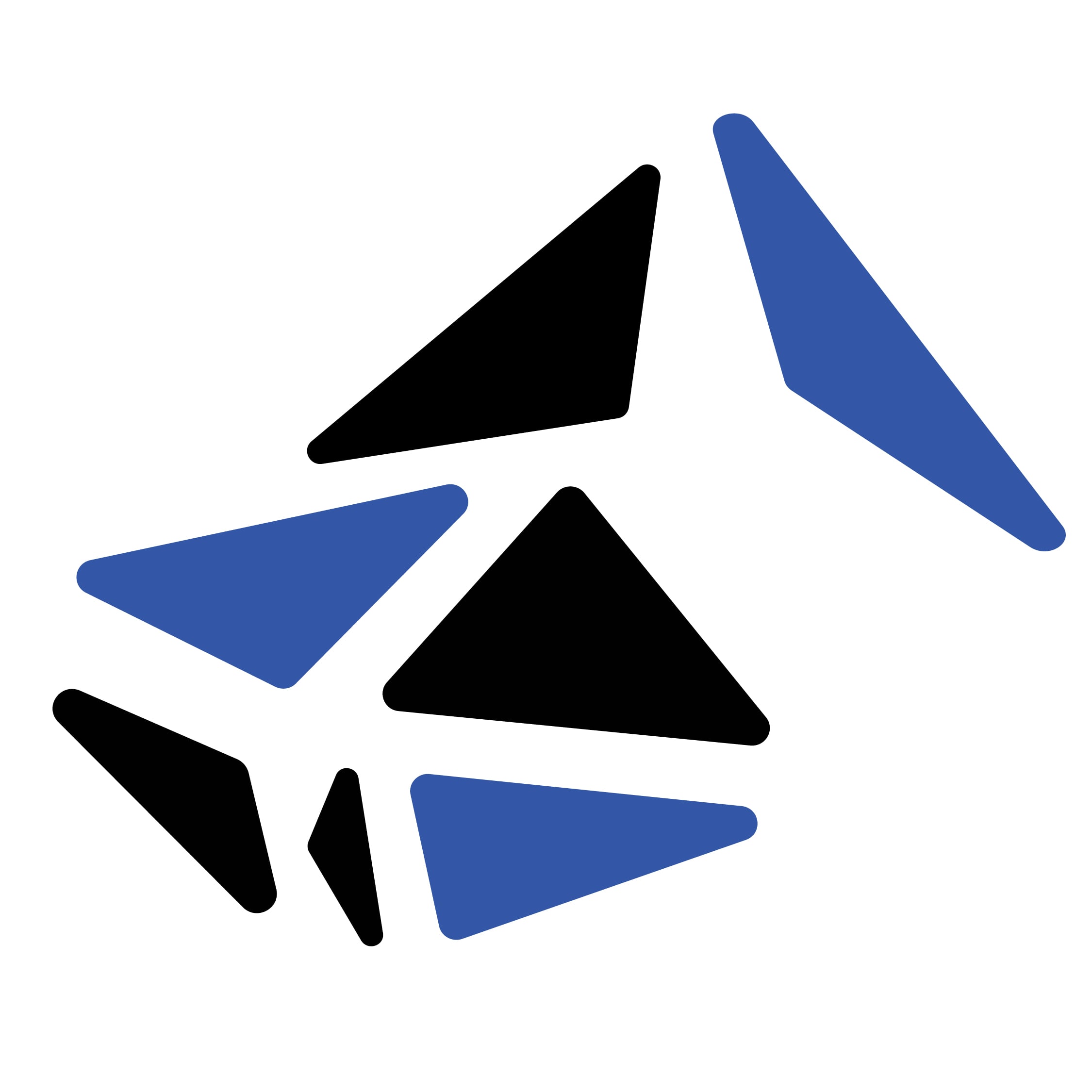 bluestonepim.com logo