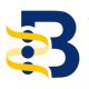 blumberginstitute.org icon