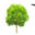 Blythewood Online Service