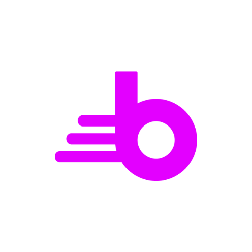 blytzpay.com logo