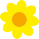 bm-digitaldruck.de icon