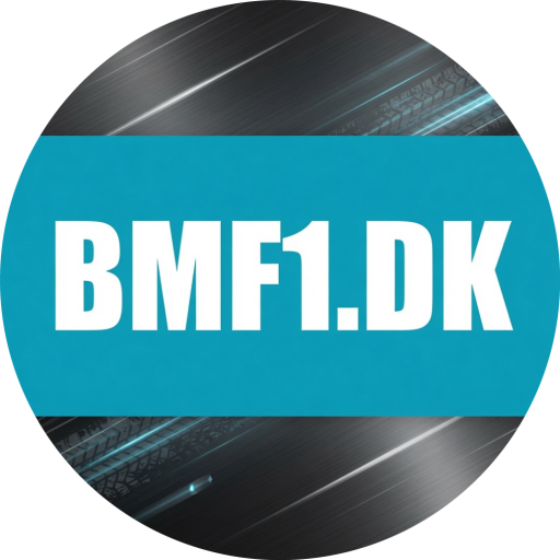 bmf1.dk icon