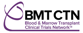 bmtctn.net icon