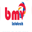 bmvinfotech.com icon