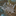 bnewbold.net icon