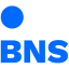 bns.lt logo