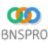 bnspro.gr logo