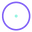 Lily Pad