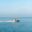 boatbrands.org logo