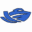 boatrentaldubai.com icon